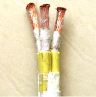 維爾特牌YVFR，YVFRP耐寒電纜